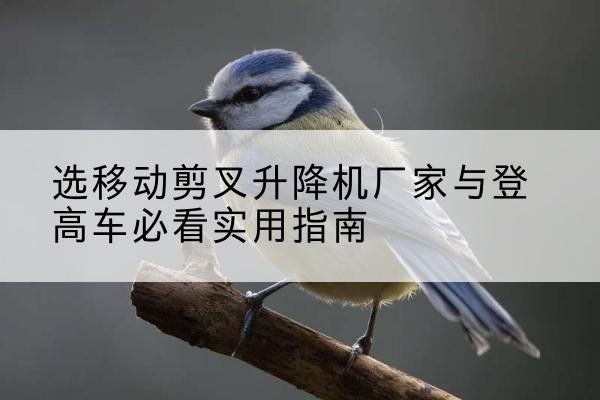 自贡电动升降机厂家-选移动剪叉升降机厂家与登高车必看实用指南