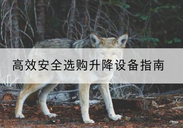 自贡升降货梯厂家推荐-*安全选购升降设备指南